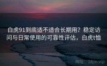 白虎91到底适不适合长期用？稳定访问与日常使用的可靠性评估，白虎t恤