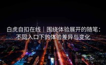白虎自扣在线｜围绕体验展开的随笔：不同入口下的体验差异与变化