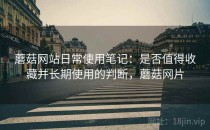 蘑菇网站日常使用笔记：是否值得收藏并长期使用的判断，蘑菇网片