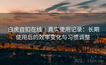 白虎自扣在线｜真实使用记录：长期使用后的效率变化与习惯调整