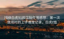 围绕白虎91的实际使用感想：第一次使用时的上手难度记录，白虎t恤