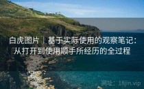 白虎图片｜基于实际使用的观察笔记：从打开到使用顺手所经历的全过程