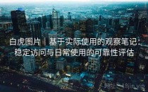 白虎图片｜基于实际使用的观察笔记：稳定访问与日常使用的可靠性评估