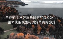 白虎91｜从效率角度做的体验复盘：整体使用氛围与浏览节奏的感受