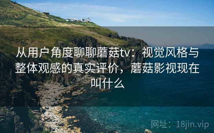 从用户角度聊聊蘑菇tv：视觉风格与整体观感的真实评价，蘑菇影视现在叫什么