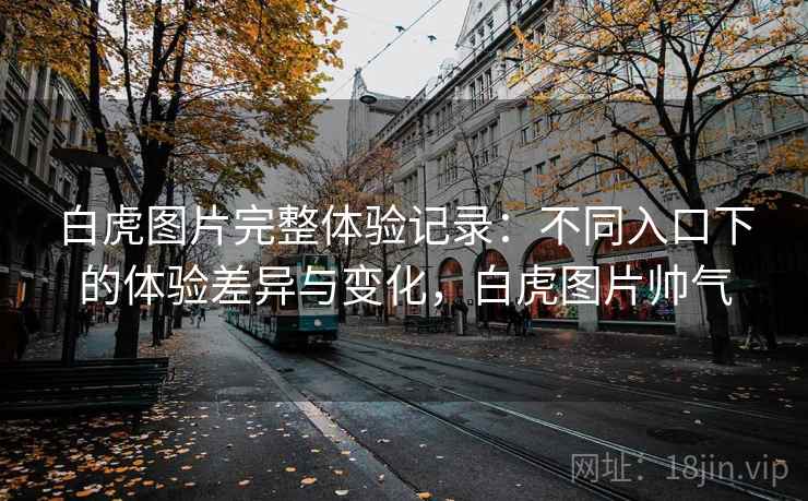 白虎图片完整体验记录:不同入口下的体验差异与变化,白虎图片帅气 白虎图片完整体验记录:不同入口下的体验差异与变化,白虎图片帅气