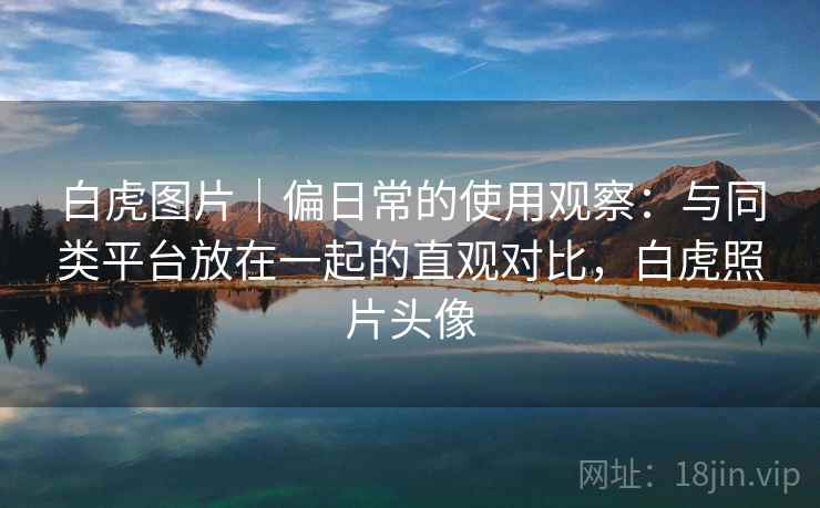 白虎图片｜偏日常的使用观察：与同类平台放在一起的直观对比，白虎照片头像  第2张