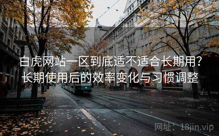 白虎网站一区到底适不适合长期用？长期使用后的效率变化与习惯调整  第1张