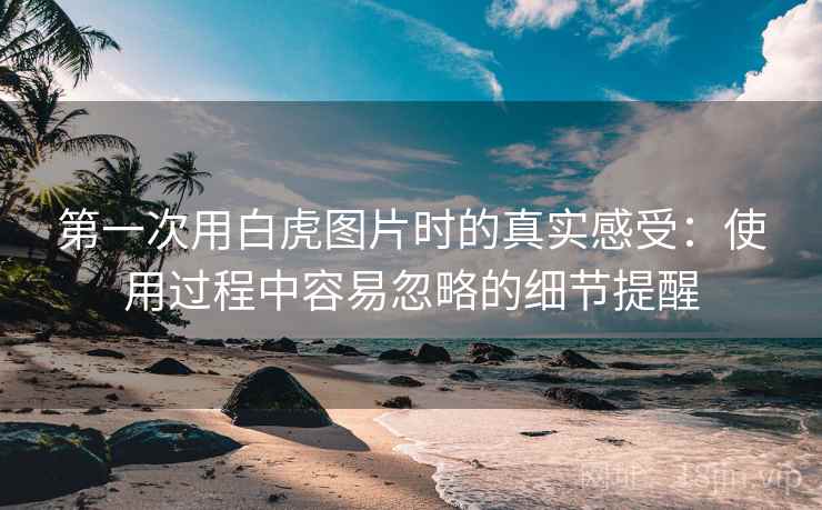 第一次用白虎图片时的真实感受:使用过程中容易忽略的细节提醒 第1张 第一次用白虎图片时的真实感受:使用过程中容易忽略的细节提醒 第1张
