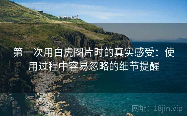 第一次用白虎图片时的真实感受:使用过程中容易忽略的细节提醒 第2张 第一次用白虎图片时的真实感受:使用过程中容易忽略的细节提醒 第2张
