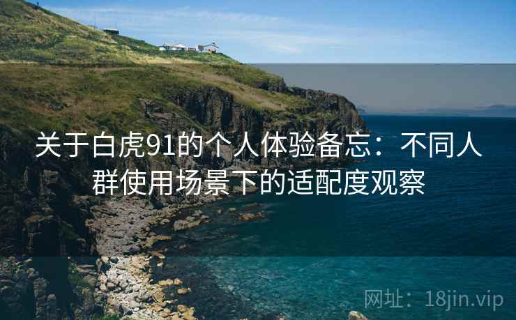 关于白虎91的个人体验备忘:不同人群使用场景下的适配度观察 第2张 关于白虎91的个人体验备忘:不同人群使用场景下的适配度观察 第2张