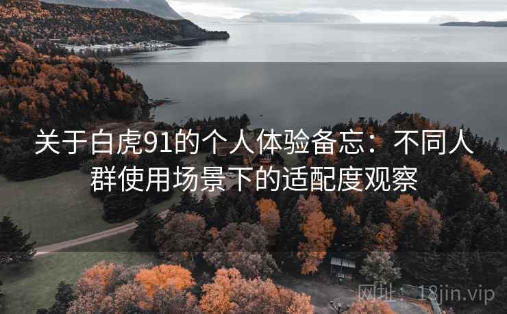 关于白虎91的个人体验备忘:不同人群使用场景下的适配度观察 第1张 关于白虎91的个人体验备忘:不同人群使用场景下的适配度观察 第1张