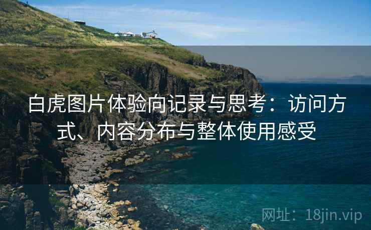 白虎图片体验向记录与思考:访问方式、内容分布与整体使用感受 第1张 白虎图片体验向记录与思考:访问方式、内容分布与整体使用感受 第1张