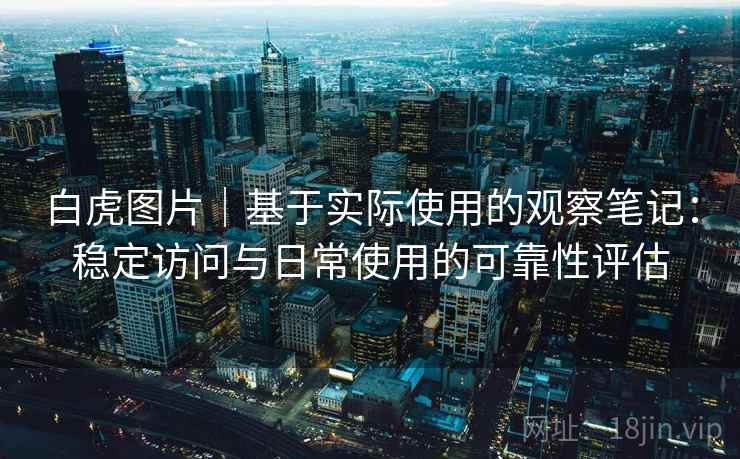 白虎图片|基于实际使用的观察笔记:稳定访问与日常使用的可靠性评估 第1张 白虎图片|基于实际使用的观察笔记:稳定访问与日常使用的可靠性评估 第1张