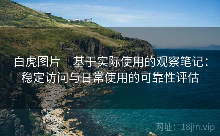 白虎图片|基于实际使用的观察笔记:稳定访问与日常使用的可靠性评估 第2张 白虎图片|基于实际使用的观察笔记:稳定访问与日常使用的可靠性评估 第2张