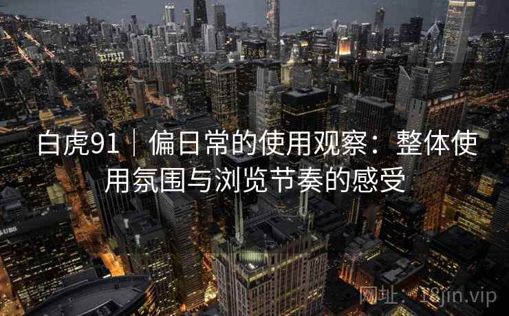 白虎91|偏日常的使用观察:整体使用氛围与浏览节奏的感受 第1张 白虎91|偏日常的使用观察:整体使用氛围与浏览节奏的感受 第1张