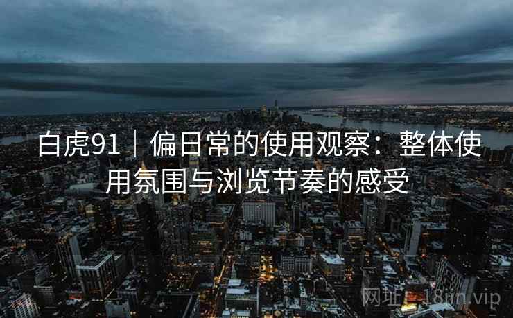 白虎91|偏日常的使用观察:整体使用氛围与浏览节奏的感受 第2张 白虎91|偏日常的使用观察:整体使用氛围与浏览节奏的感受 第2张