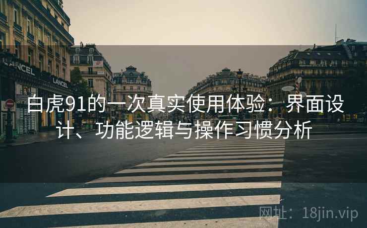 白虎91的一次真实使用体验:界面设计、功能逻辑与操作习惯分析 第2张 白虎91的一次真实使用体验:界面设计、功能逻辑与操作习惯分析 第2张