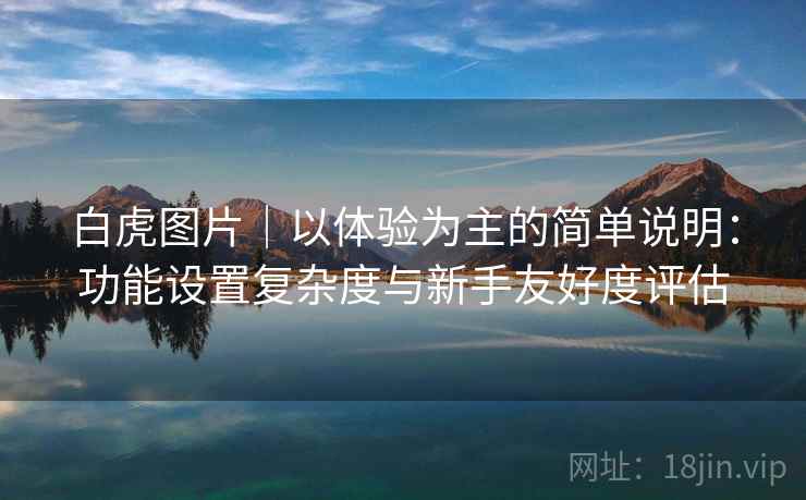 白虎图片|以体验为主的简单说明:功能设置复杂度与新手友好度评估 第2张 白虎图片|以体验为主的简单说明:功能设置复杂度与新手友好度评估 第2张