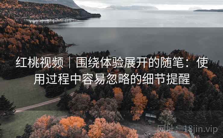 红桃视频｜围绕体验展开的随笔：使用过程中容易忽略的细节提醒  第1张